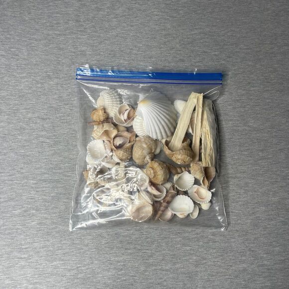 Target Threshold Beach Sea Shells Vase Filler Decor - Picture 4 of 5